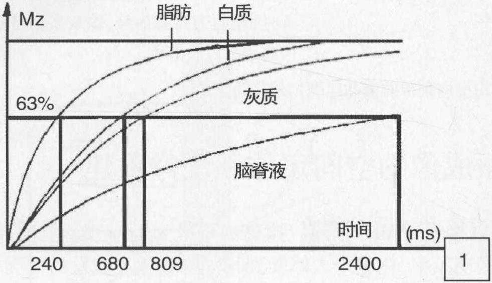第三節(jié) 自旋弛豫